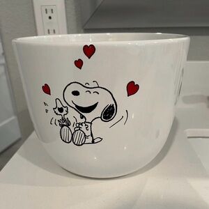 Peanuts snoopy valentines plant pot
